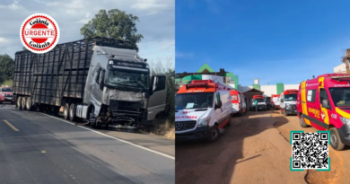 Acidente fatal com van, caminhonete e caminhão mata 8 na BR-020, em Goiás