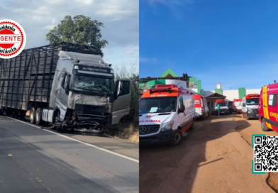 Acidente fatal com van, caminhonete e caminhão mata 8 na BR-020, em Goiás