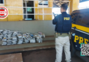 PRF intercepta carregamento de “supermaconha” na BR-060 e prende jovem por tráfico, em Rio Verde