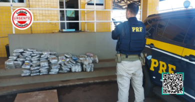 PRF intercepta carregamento de “supermaconha” na BR-060 e prende jovem por tráfico, em Rio Verde
