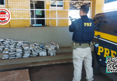 PRF intercepta carregamento de “supermaconha” na BR-060 e prende jovem por tráfico, em Rio Verde