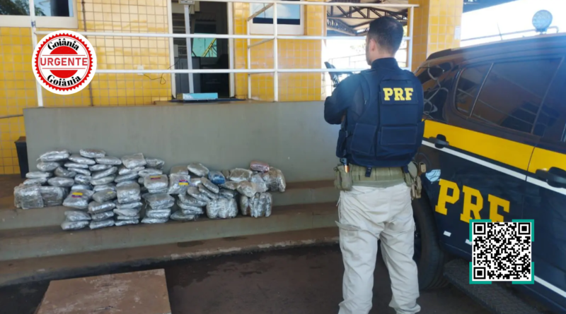 PRF intercepta carregamento de “supermaconha” na BR-060 e prende jovem por tráfico, em Rio Verde