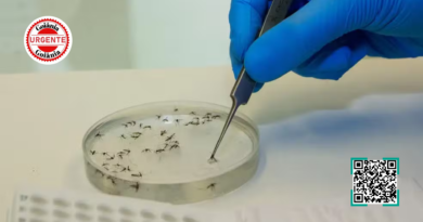 Goiás confirma primeiro caso autóctone de febre Oropouche e acende alerta epidemiológico