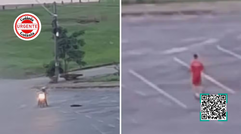 Bombeiro reage a ataque e mata cão a tiros em Goiânia; caso é apurado