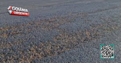 Autódromo de Goiânia é fechado para intervenção urgente após falhas no asfalto expostas em evento internacional