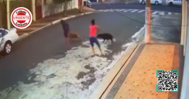 Criança é atacada por pit bull e passa por cirurgia após ferimentos graves, em Anápolis