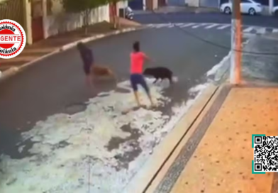 Criança é atacada por pit bull e passa por cirurgia após ferimentos graves, em Anápolis