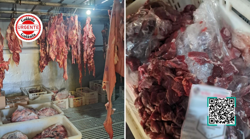 Carne com selo fraudado é alvo de operação em Goiânia e expõe risco sanitário ao consumidor