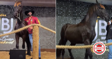 Cavalo de haras de Gusttavo Lima é vendido por R$ 1,1 milhão e valor será destinado ao Hospital de Câncer em Goiás