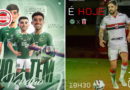 Goiás tenta reação na Série B em meio à pressão após perda de Tadeu e eliminação nacional