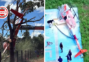 Helicóptero de Henrique e Juliano sofre queda em fazenda no Tocantins; piloto e passageiros escapam com ferimentos leves