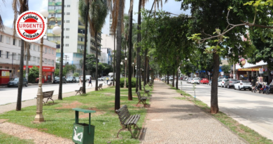 CCJ destrava programa Morar no Centro e avaliza novo cartão social da Prefeitura de Goiânia
