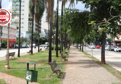 CCJ destrava programa Morar no Centro e avaliza novo cartão social da Prefeitura de Goiânia