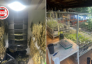 Polícia Civil desmonta laboratório de “supermaconha” em Anápolis e prende grupo suspeito de abastecer Goiás e DF