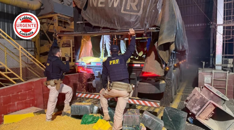 PRF intercepta meia tonelada de cocaína na BR-364 e realiza maior apreensão do ano em Goiás