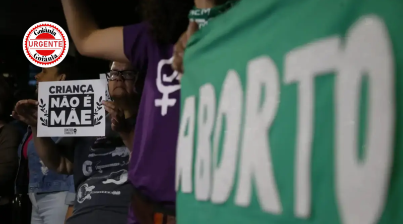 Câmara de Goiânia aprova lei que veta cartazes pró-aborto em hospitais, escolas e igrejas