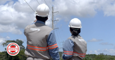 Equatorial e Senai abrem 100 vagas gratuitas para formação de eletricistas em Goiás com auxílio financeiro