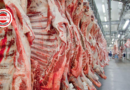 Restrições internacionais pressionam setor pecuário, mas carne deve continuar cara para o consumidor brasileiro