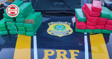 PRF intercepta carga de 40 quilos de maconha na BR-050 e prende dupla, em Catalão