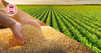 Goiás Vai Perdoar R$ 400 Milhões em Dívidas de ICMS e Beneficiar Mais de 10 Mil Produtores Rurais