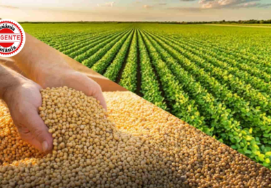 Goiás Vai Perdoar R$ 400 Milhões em Dívidas de ICMS e Beneficiar Mais de 10 Mil Produtores Rurais