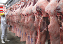 União Europeia Oficializa Restrição a Produtos de Origem Animal do Brasil e Acende Alerta no Agronegócio Goiano