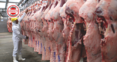 União Europeia Oficializa Restrição a Produtos de Origem Animal do Brasil e Acende Alerta no Agronegócio Goiano