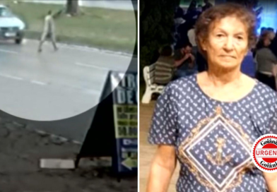 Costureira morre atropelada a poucos metros de casa ao sair para comprar ração para os gatos, em Goiânia