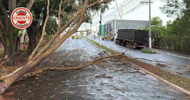 Temporal provoca danos na rede elétrica e deixa milhares sem energia em Goiânia; serviço já foi normalizado para 95% dos clientes