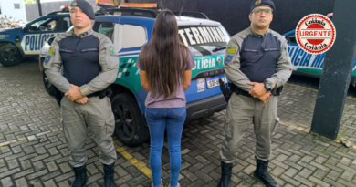 Idosa de 68 anos é agredida dentro de ônibus em Goiânia e caso termina com suspeita detida