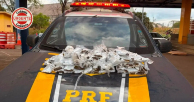 PRF intercepta carga de haxixe escondida no corpo de passageiras na BR-060