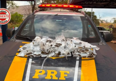 PRF intercepta carga de haxixe escondida no corpo de passageiras na BR-060