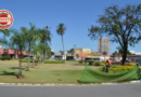Prefeitura de Goiânia planeja cortar parte da Praça Ciro Lisita e transplantar árvores para ampliar corredor da Castelo Branco