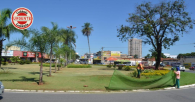 Prefeitura de Goiânia planeja cortar parte da Praça Ciro Lisita e transplantar árvores para ampliar corredor da Castelo Branco