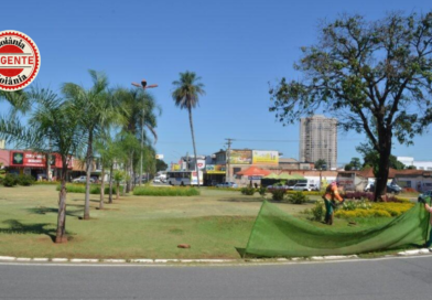 Prefeitura de Goiânia planeja cortar parte da Praça Ciro Lisita e transplantar árvores para ampliar corredor da Castelo Branco