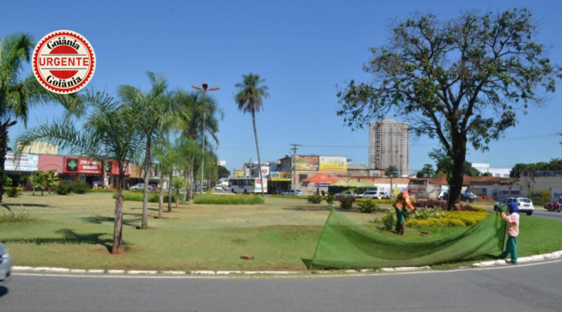 Prefeitura de Goiânia planeja cortar parte da Praça Ciro Lisita e transplantar árvores para ampliar corredor da Castelo Branco