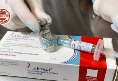 Goiás suspende aplicação de vacina contra dengue do Butantan após alerta sobre eventos adversos graves