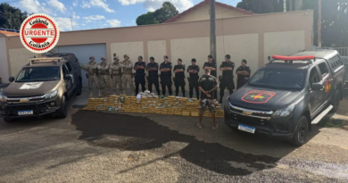 Operação apreende 250 quilos de skunk, em Aparecida e causa prejuízo milionário ao tráfico