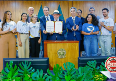 MEC amplia oferta de pós-graduação gratuita para professores e reforça estratégia nacional de qualificação docente