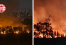 Goiás decreta emergência ambiental para reforçar combate aos incêndios florestais durante a estiagem