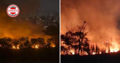 Goiás decreta emergência ambiental para reforçar combate aos incêndios florestais durante a estiagem