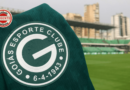 Goiás Esporte Clube inicia votação para reformar estatuto e pode retomar modelo com presidente executivo