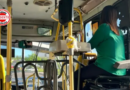 TRT-GO mantém indenização de R$ 20 mil a cobradora vítima de assédio em empresa de ônibus