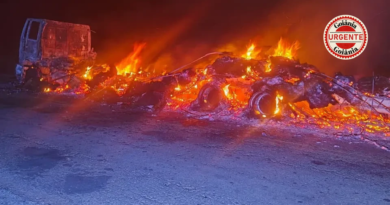 Caminhão pega fogo na GO-112 e 53 bezerros morrem após acidente em Nova Roma
