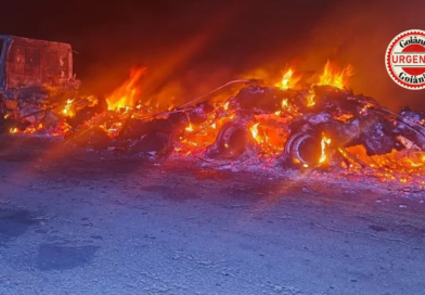 Caminhão pega fogo na GO-112 e 53 bezerros morrem após acidente em Nova Roma