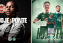 Goiás encara Ponte Preta para ampliar invencibilidade na Série B