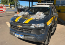 PRF apreende 37 kg de droga escondida em tanque de carro, em Morrinhos