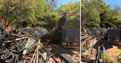 Goiânia recicla mais de 110 toneladas de cabos retirados de postes
