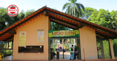 Prefeitura rescinde contrato de limpeza dos tanques dos hipopótamos no Zoológico de Goiânia
