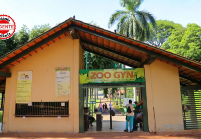 Prefeitura rescinde contrato de limpeza dos tanques dos hipopótamos no Zoológico de Goiânia